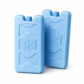 Lot de 2 pains de glace